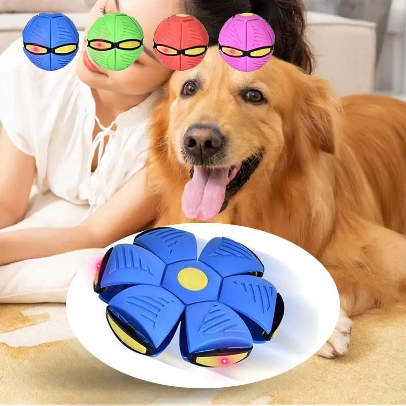 Interactive Dog Toy